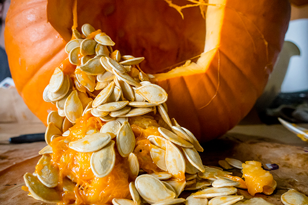 Pumpkin seeds inside a pumpkin