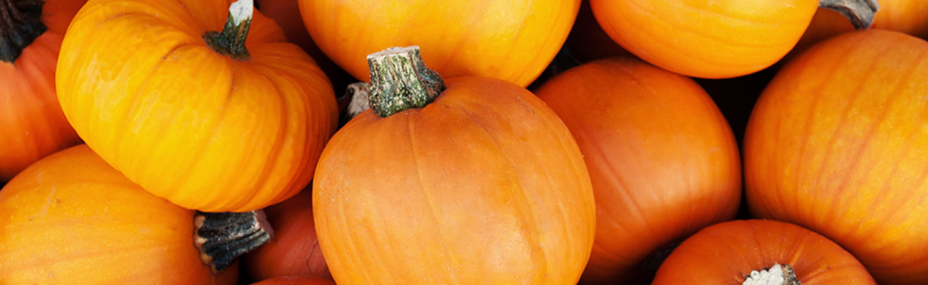 A pile of pumpkins in the fresh market