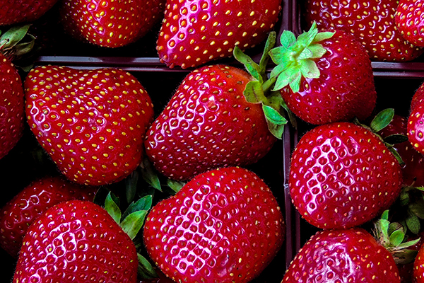Fresh strawberries in containers
