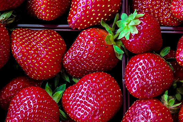 How to Store Strawberries So They Last Longer