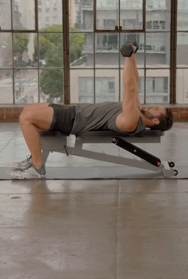 dumbbell bench press | upper body workout