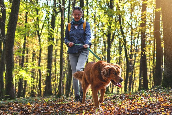 Woman walking her dog in the woods