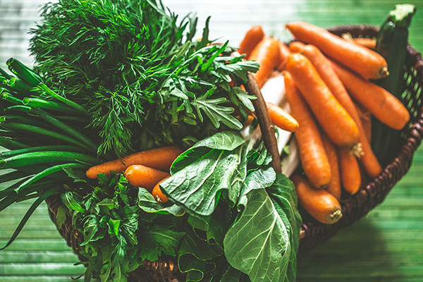 basket of vegetables