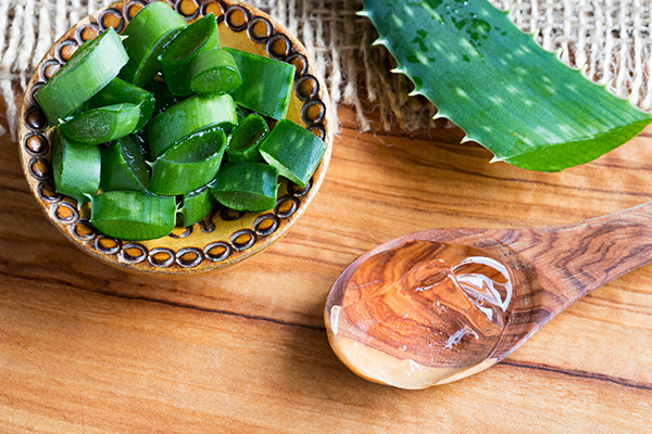 Aloe vera plant pieces