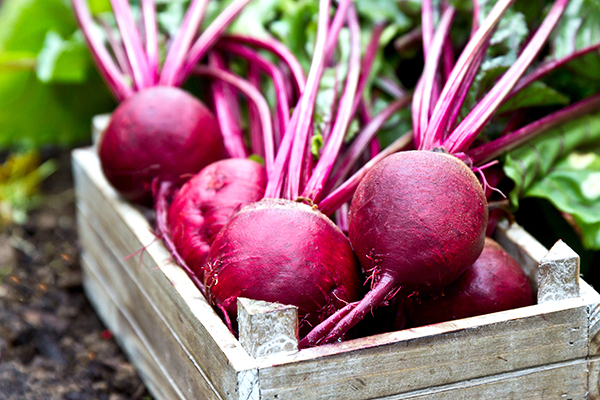 Beets in a wooden box