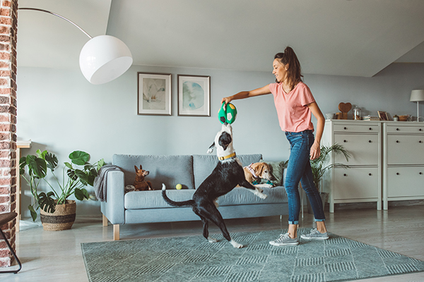 Woman playing with dog at hom