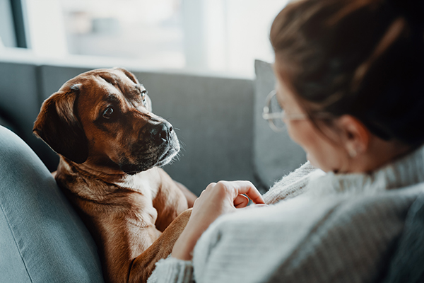 Woman cuddling with dog on couch