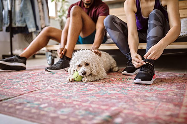 Couple with dog getting ready for a run