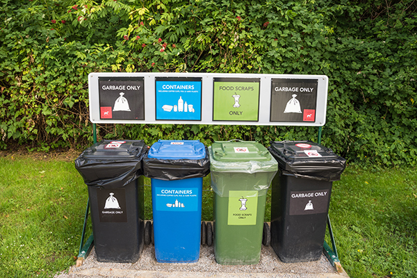 Trash and recycling bins