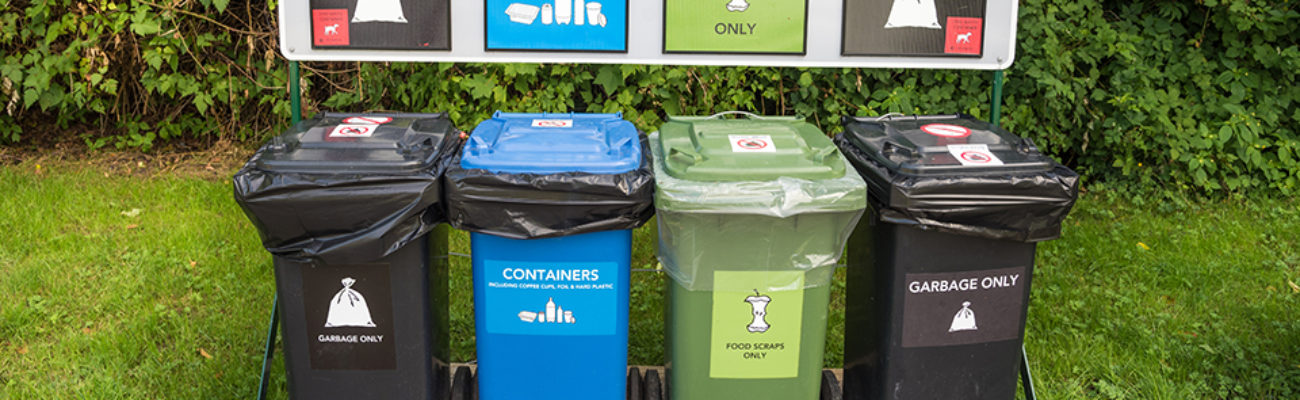 Plastic trash and recycling bins