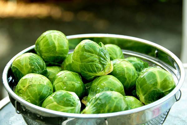 Raw Brussels sprouts in a colander