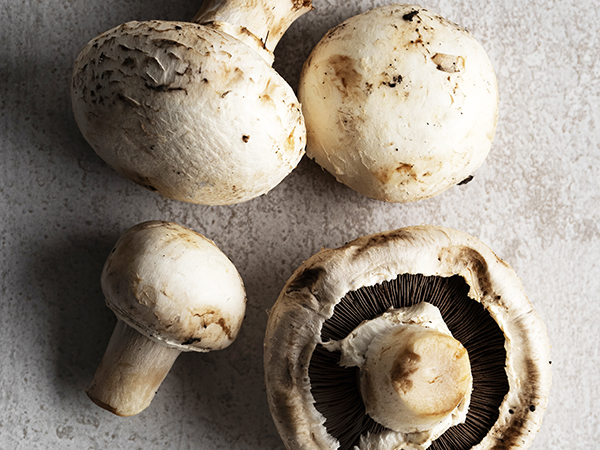 White button mushrooms