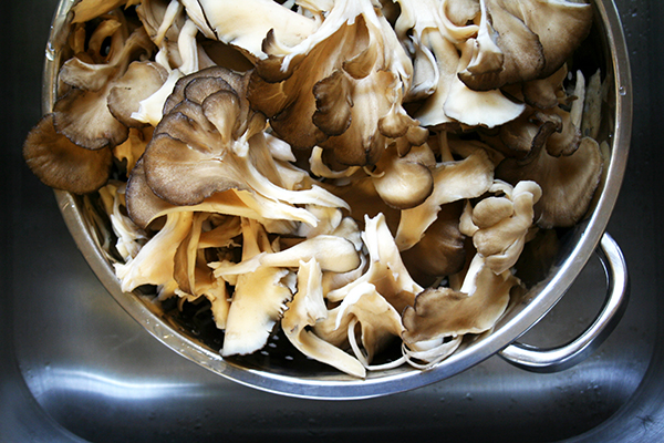 Maitake mushrooms