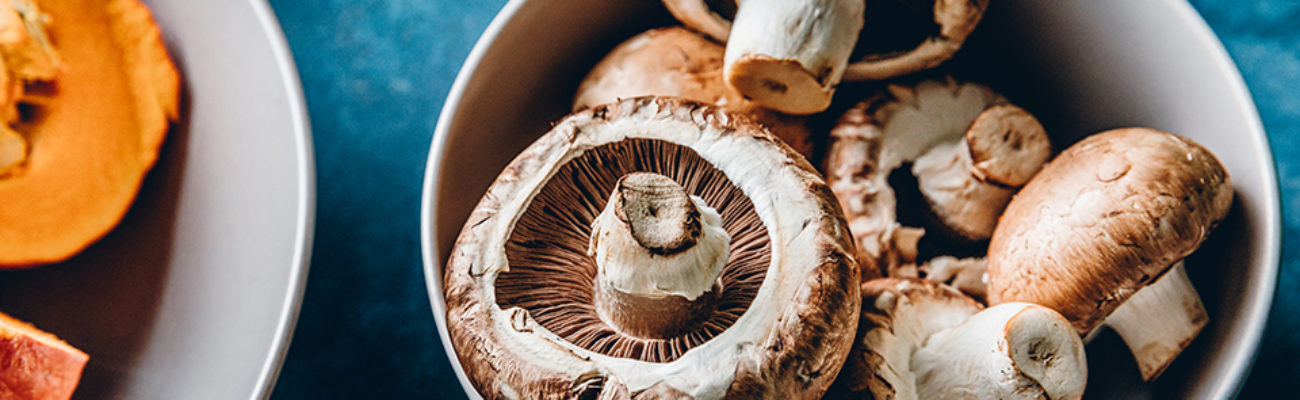 Close-up of edible mushrooms in a bowl