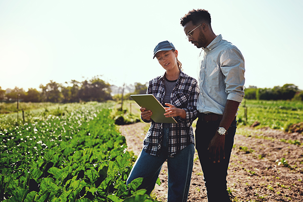 Two young farmers looking at tablet in farm field