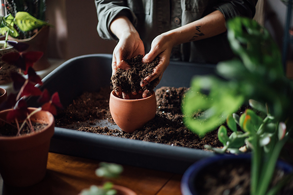 Woman potting plants