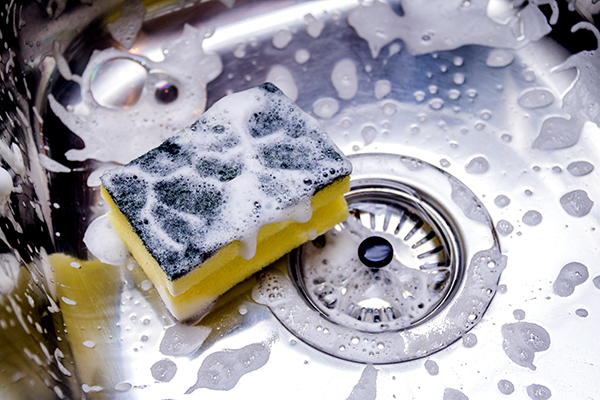 Sponge in sink