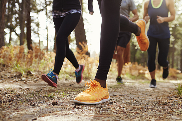 Cropped shot showing legs of people trail running