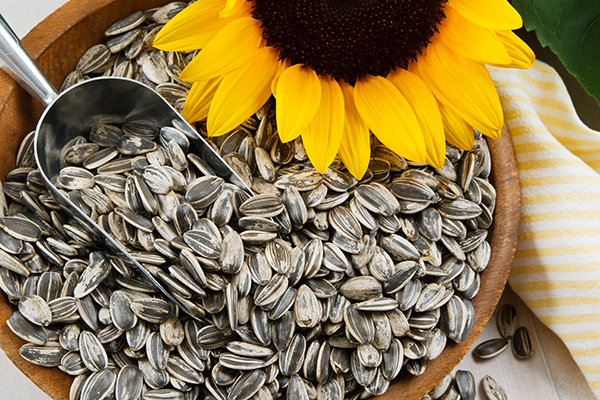 Nutritious sunflower seeds in a wood bowl.