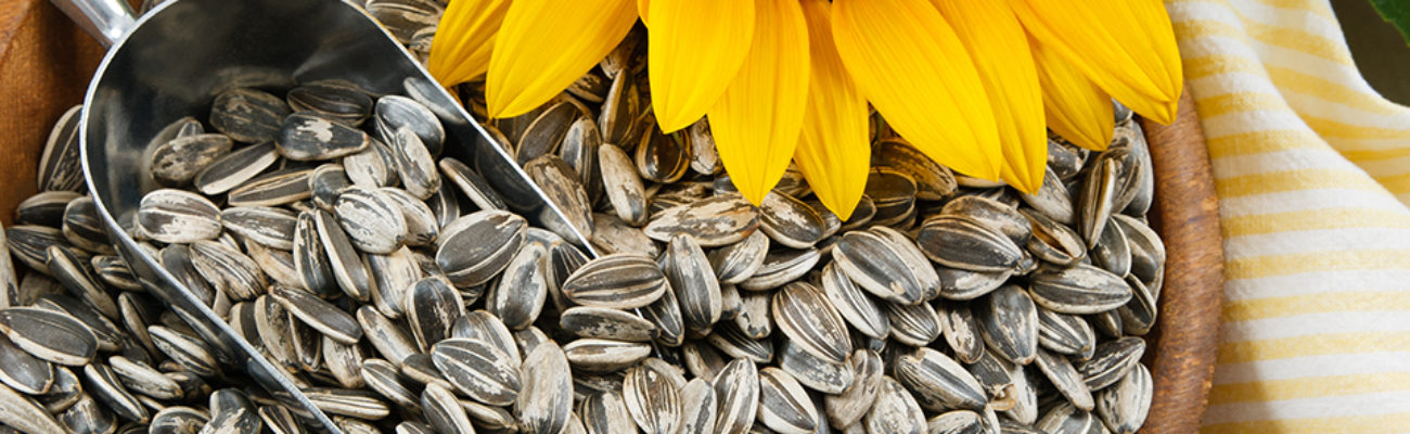 Nutritious sunflower seeds in a wood bowl.