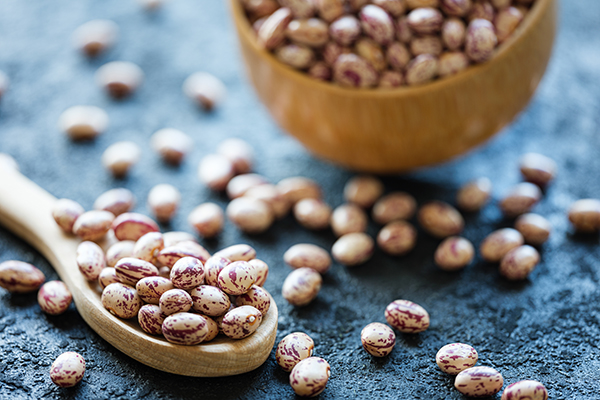 Dried pinto beans in a bowl and spoon