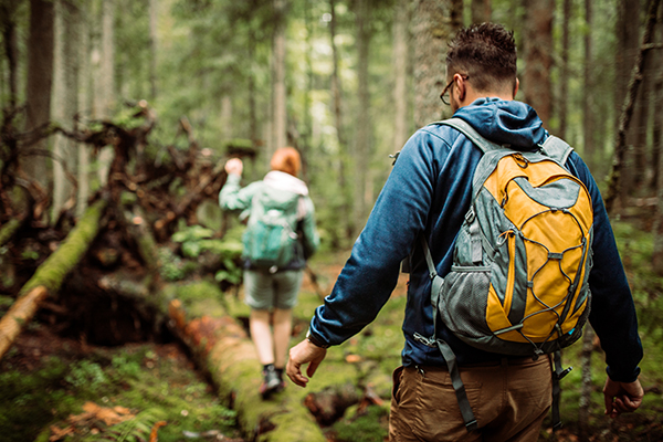 Friends hiking in the woods