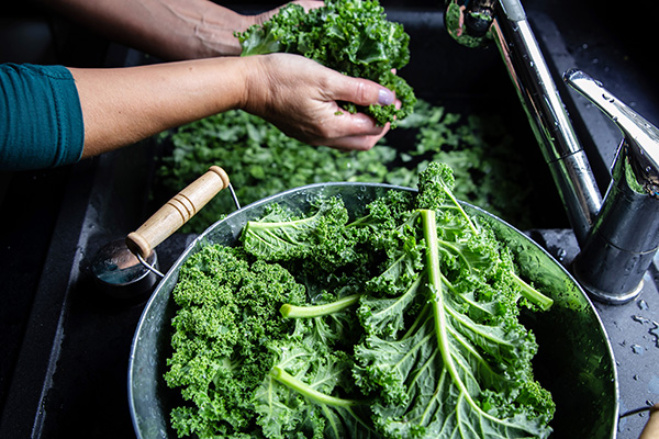 Woman washes kale leaves in the kitchen sink