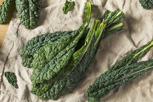 Lacinato Kale verde crudo orgánico en el mostrador