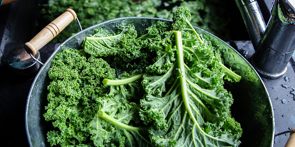 Kale Nutrition & Benefits: Everything You Need to Know