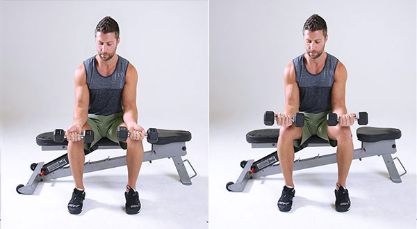 Wrist exercises with online dumbbells