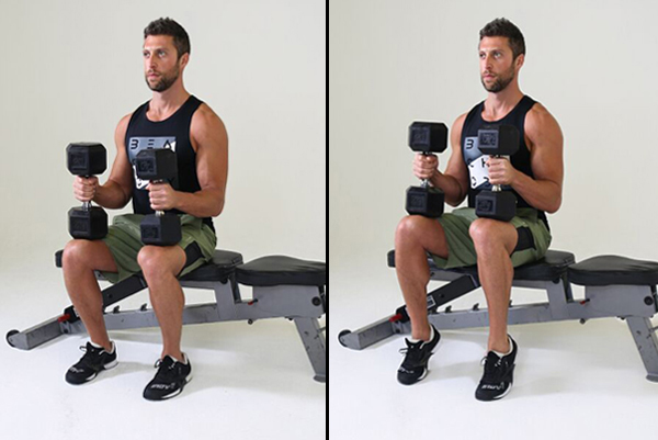 seated calf raise | calf raises