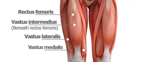 Can doing squats make your butt bigger?