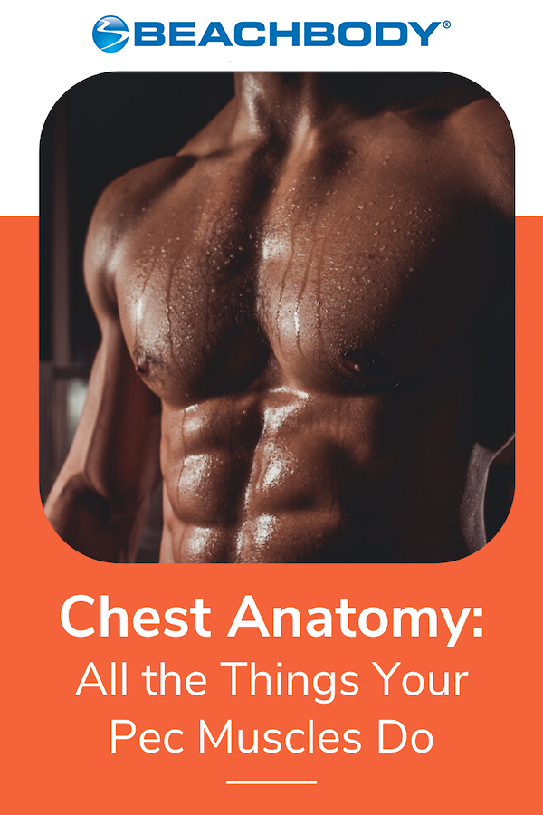 Workout tips for your Chest Muscles!