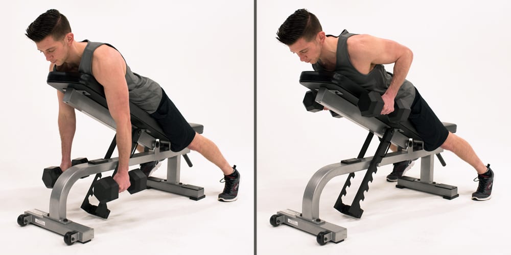 dumbbell chest supported row