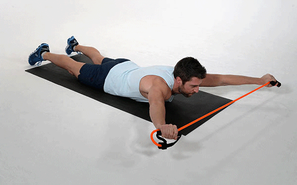 7 Effective Back Exercises Using Resistance Bands