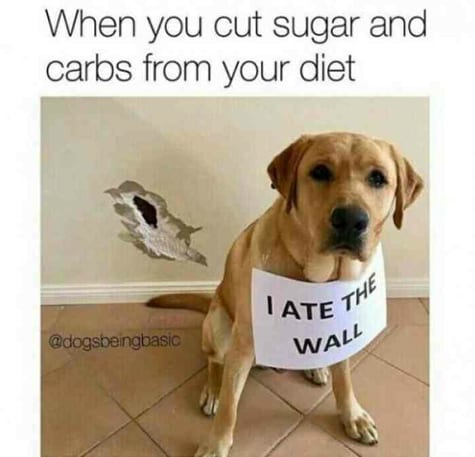 weight loss memes 600 carbs