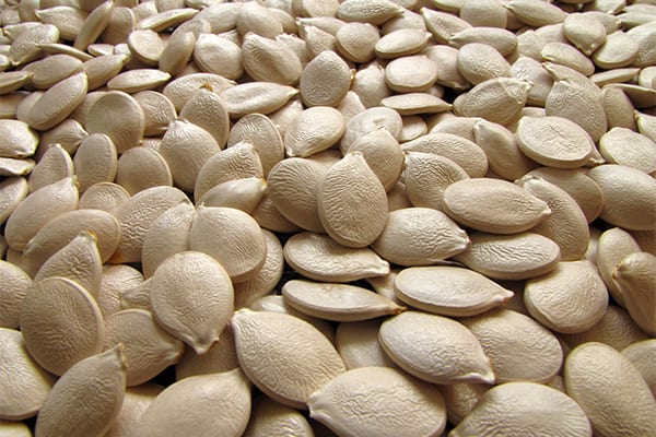 pumpkin edible seeds