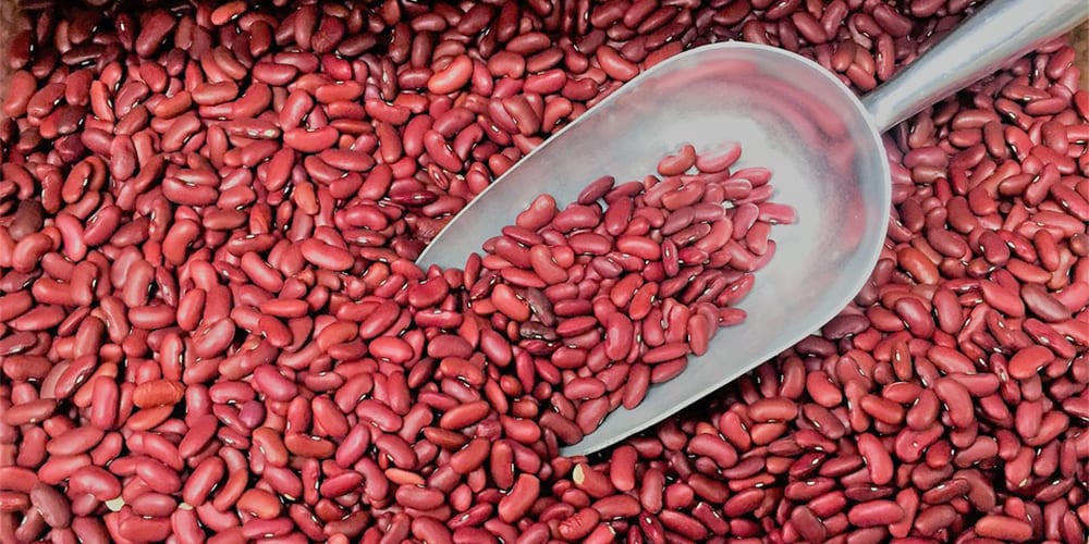 feijão vermelho | Alimentos ricos em ferro