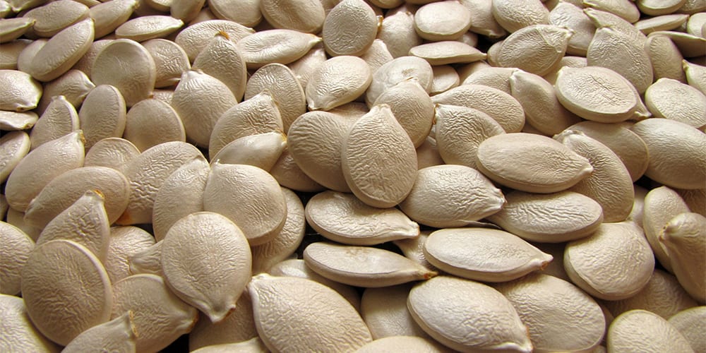 sementes de abóbora | Alimentos ricos em ferro