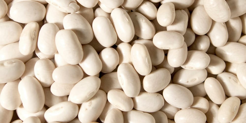 white beans | Foods High in Iron