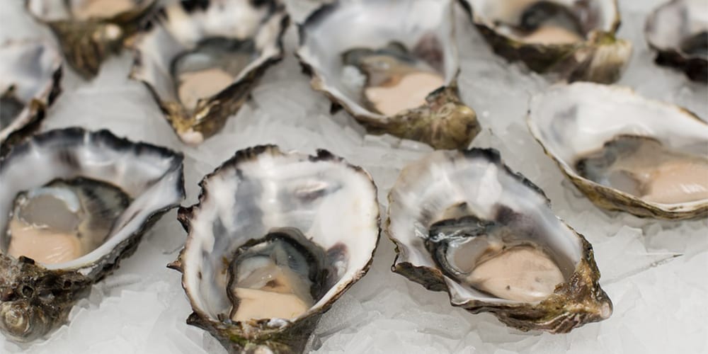 plate of raw oysters | Foods High in Iron