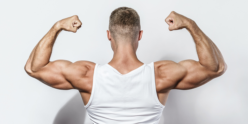 Expert Tips and Tricks to Build Arm Muscle | BODi