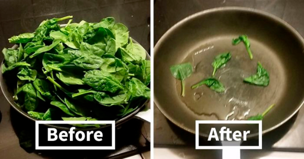 15 Hilarious Memes About Learning How to Cook