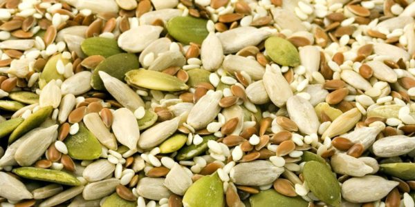 seeds assortment | what is protein