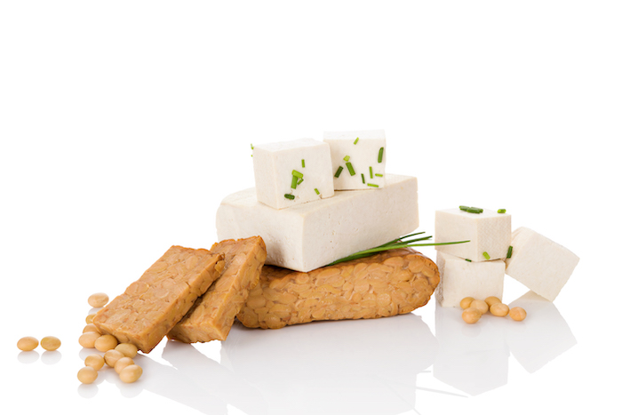 tofu tempeh soy | what is protein