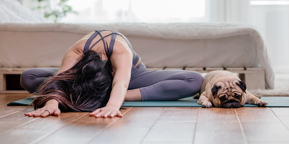 18 Home Workout Memes That Are Too Relatable