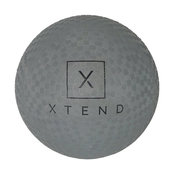 xtend barre playground ball | barre gift guide