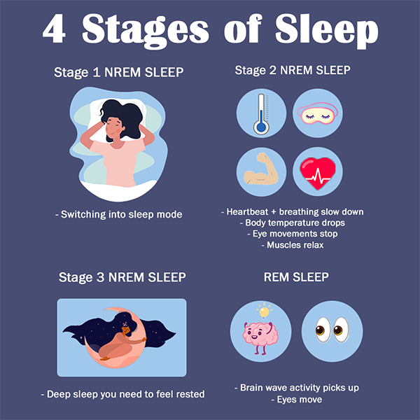 4 stages of sleep