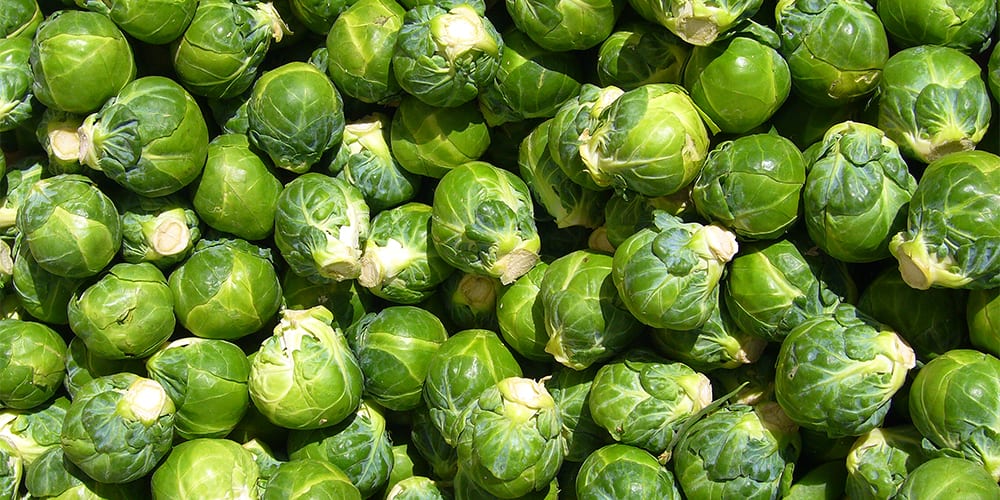 brussels sprouts whole | foods high in potassium