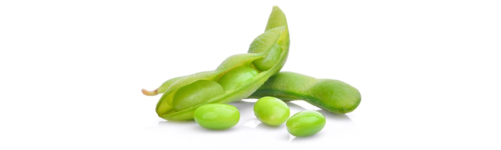 soybeans in pod | foods high in magnesium